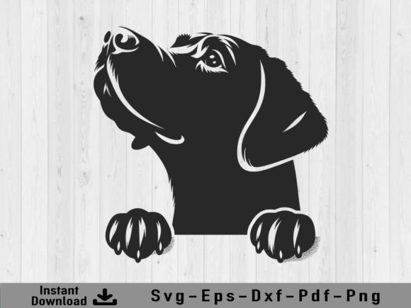 Download Peeking Labrador Retriever Dog Svg File - Dog svg Collection